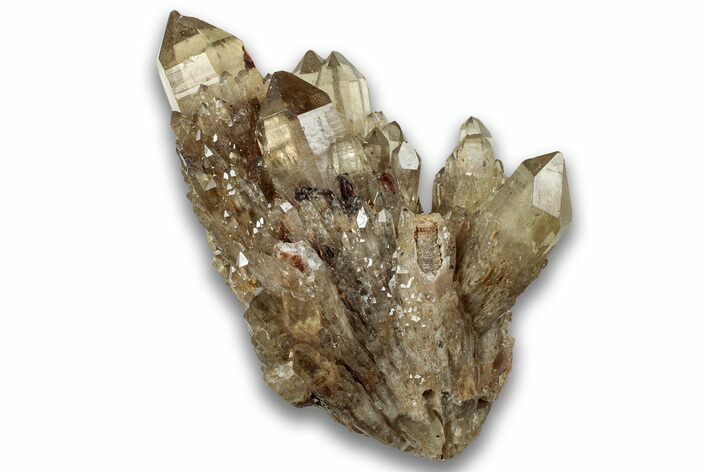 Smoky Citrine Crystal Cluster - Luena, DR Congo #324391